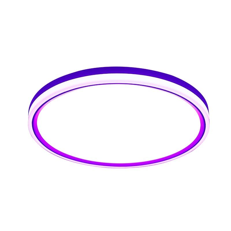 Everstar 24W RGB CCT LED Ceiling Light Remote Control Alexa/Tuya WIFI Dimmable Modern Smart LED Lamp for Living Room