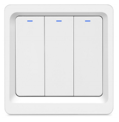 DS-MJK-W3-EU  The light mechanical switch