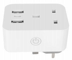 TS-MSF023-UK The switch socket & USB