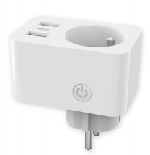 TS-MSF023-FR The switch socket & USB