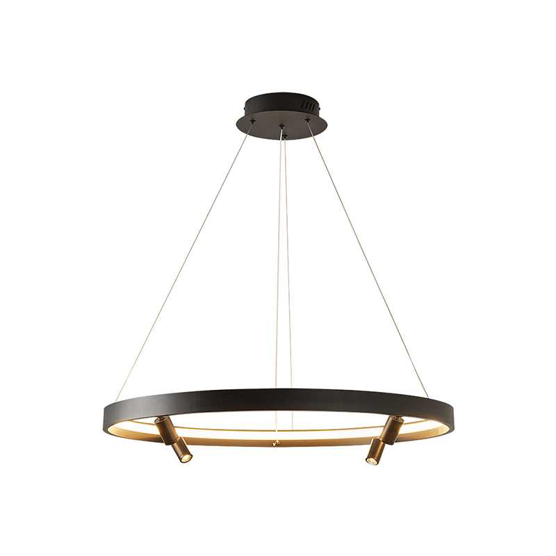 Indoor Lighting Modern Restaurant Ceiling Decoration Lights  Round black Led Pendant Light 12W