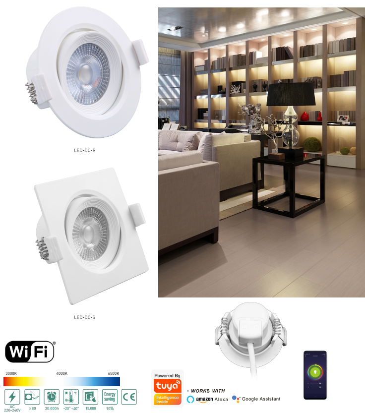 LED-DC-5W(R/S) LED Smart down light