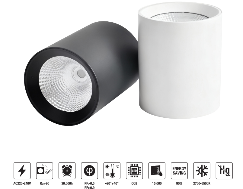 LED-DRMZ-10W 　LED Down Light