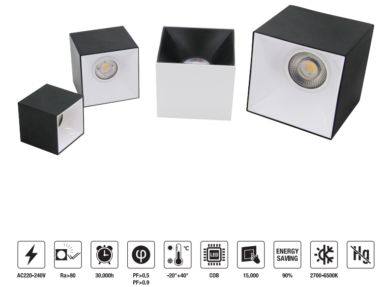 LED-DRMZ03-15W LED Down Light