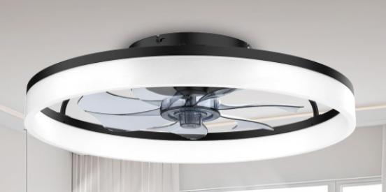 20'' bedroom ceiling fan light