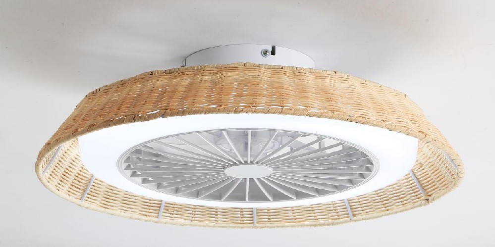 20'' bedroom ceiling fan light