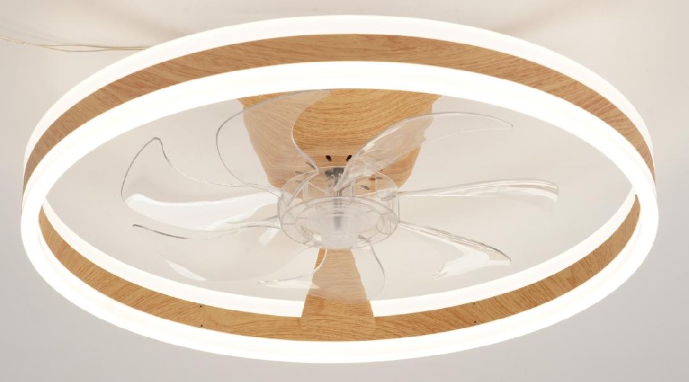 20'' bedroom ceiling fan light