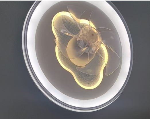 bedroom ceiling fan light